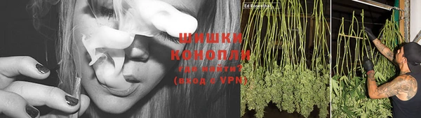 гидропоника Нея