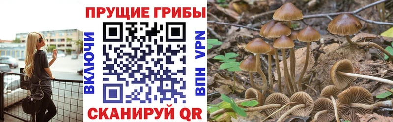 Галлюциногенные грибы GOLDEN TEACHER  Купить где  Дзержинск 