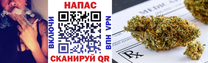 Купить где Дзержинск Каннабис SATIVA & INDICA